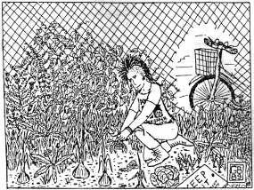 guerilla