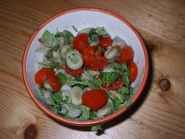 tomato and bean salad