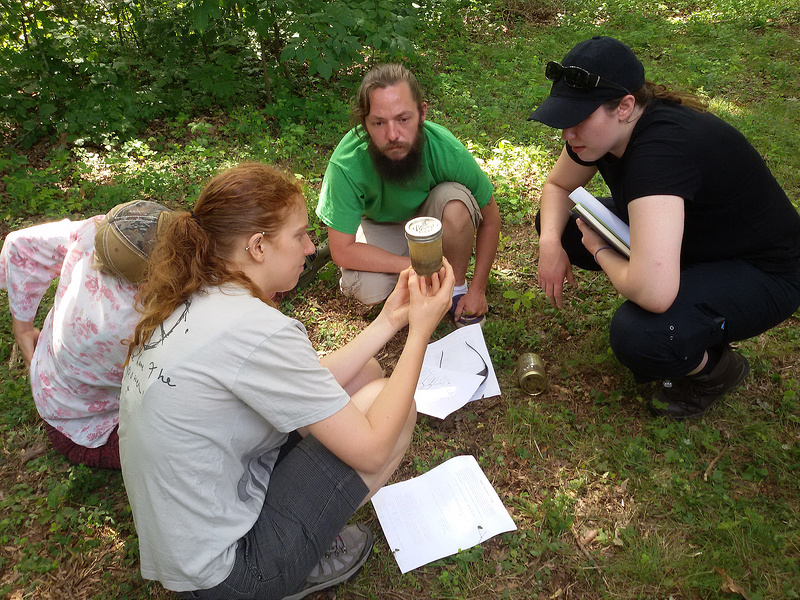 looking at soil