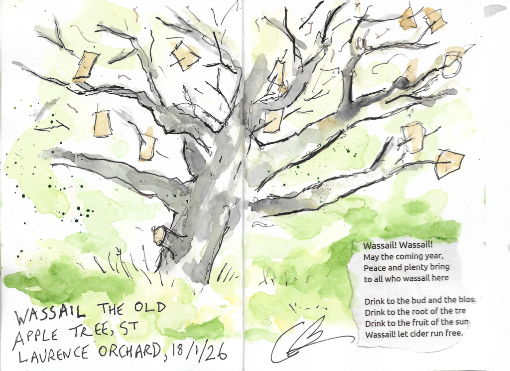 Wassailiing in the orchard watercolour painting